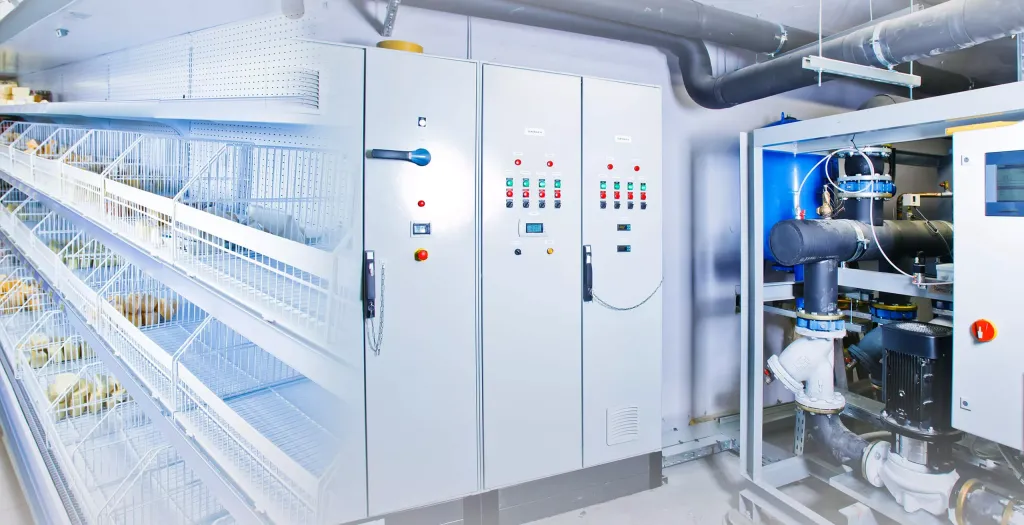 Mastering Food Safety Compliance Management in High-Volume Kitchens