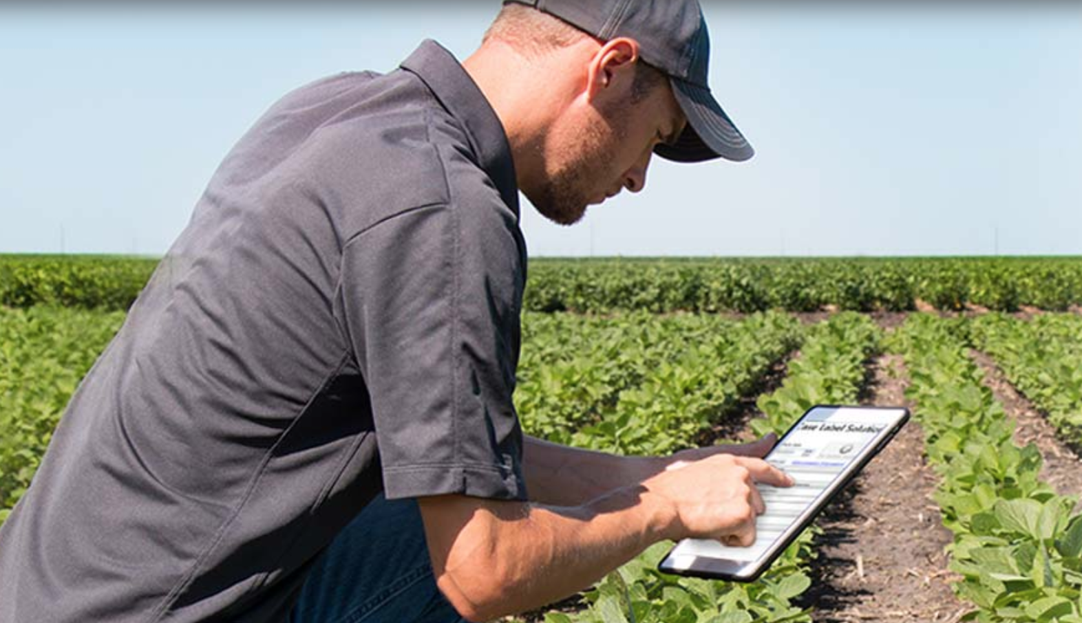 HACCP Food Safety Requirements Every Operator Should Understand